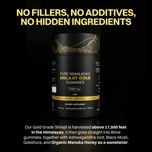 Bime 2-in-1 Shilajit Gummies