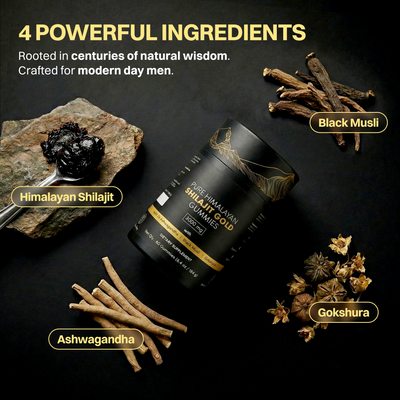 Bime 2-in-1 Shilajit Gummies